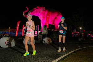 BIB: 
                            <button type="button" onclick="openModal(26534308)" class="btn btn-primary btn-sm float-right btn-popup" data-toggle="modal" data-target=".modal-high-quality">
                        <i class="fas fa-shopping-cart"></i> Add to Cart
                    </button>
                                            <button type="button" onclick="isThisMe(26534308, true)" class="btn btn-success btn-sm float-right btn-popup btn-isme hidden" data-toggle="tooltip" data-placement="bottom" title="นี่คือรูปของคุณใช่ไหม คลิกที่นี่เพื่อเอาเข้าอัลบั้ม">
                        <i class="fas fa-plus"></i> Add to album
                    </button>
                    <button type="button" onclick="isThisMe(26534308, false)" class="btn btn-warning btn-sm float-right btn-popup btn-isnotme hidden">
                        <i class="fas fa-ban"></i> Remove from album
                    </button>